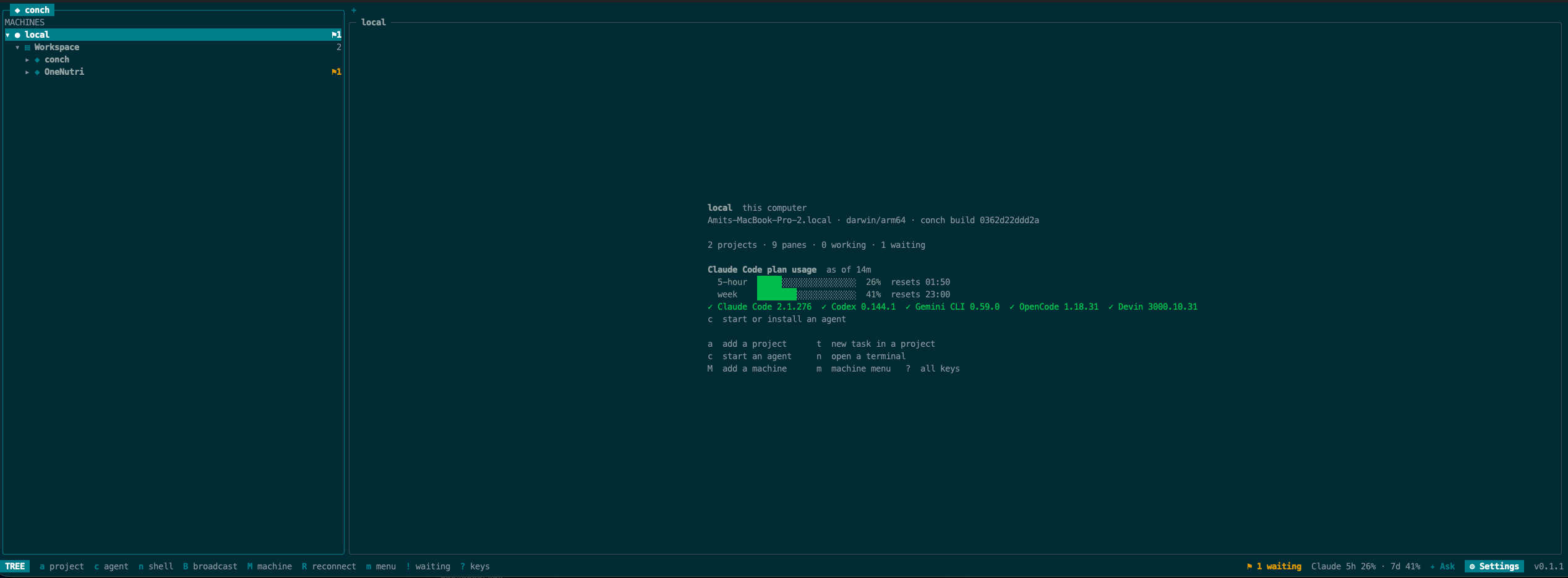 conch showing a machine: its projects in the tree, plan usage and the agents installed